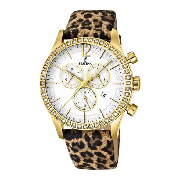 Festina Festina 16605/5