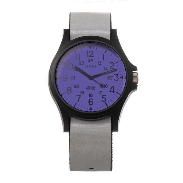 Timex TW2V14500LG