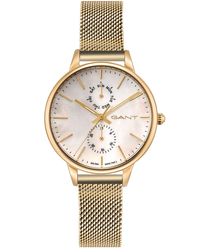 Gant Logan GT071003
