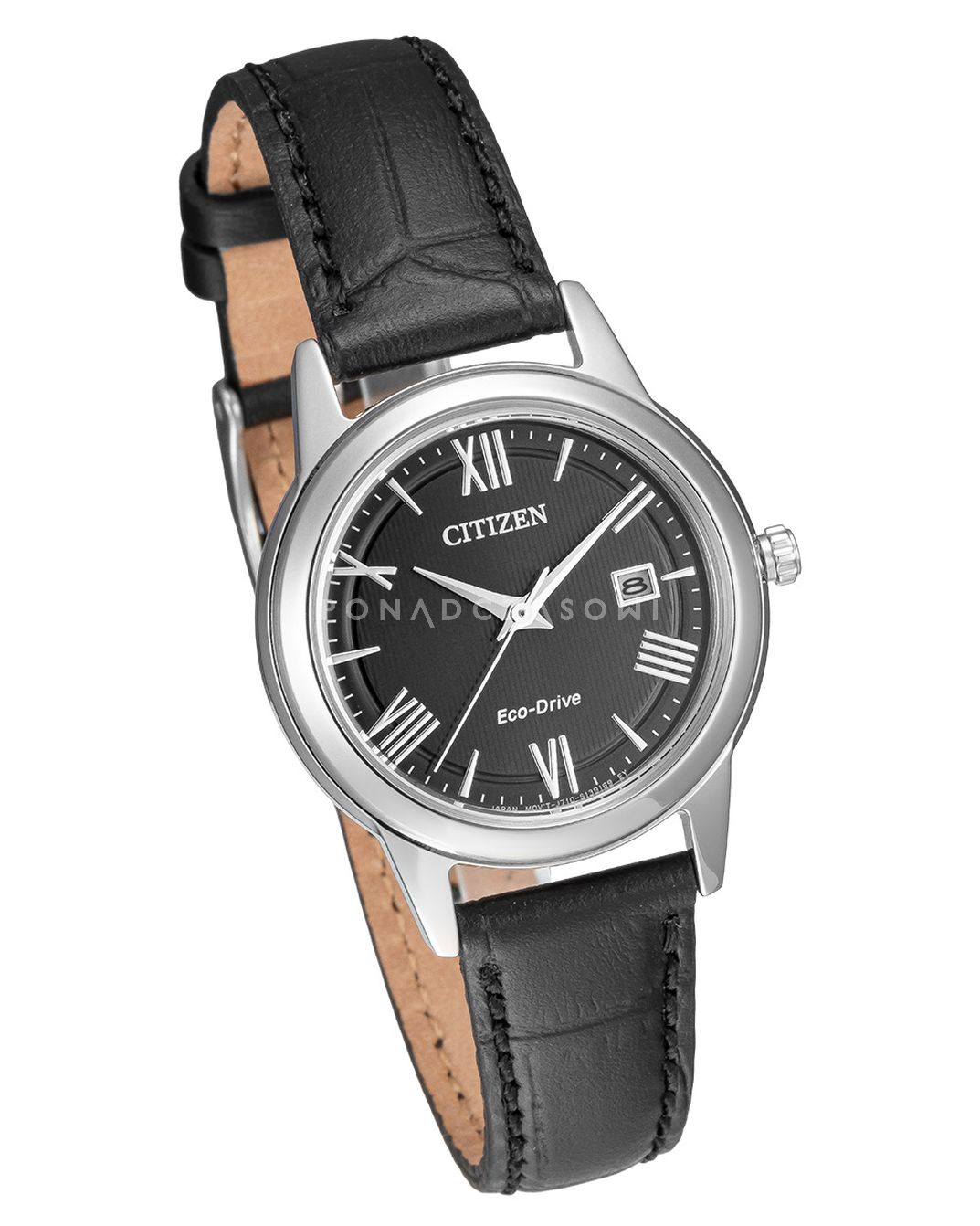 Citizen Eco-Drive FE1081-08E
